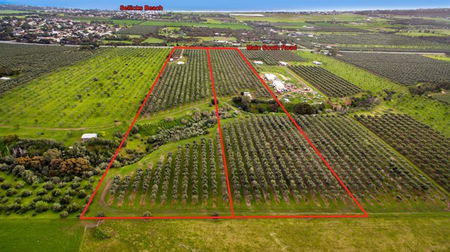 Click to view all images 3819 Main South Road Sellicks Hill SA 5174 - Image 3