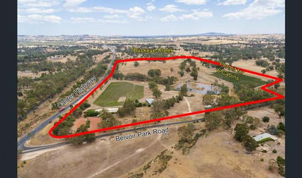 3 Belvoir Park Rd Ravenswood VIC 3453 - Image 3