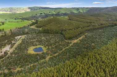 Click to view all images 910 King Parrot Creek Road Flowerdale VIC 3717 - Image 2