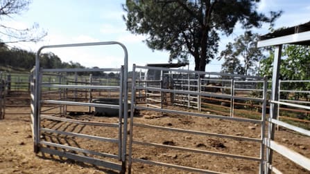 Click to view all images 250 Bennetts Road Dobies Bight NSW 2470 - Image 3