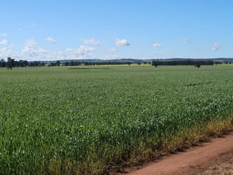 150 Cnr Boundary Road And Lesterfield Lane Coolamon Vi Wagga Wagga NSW 2650 - Image 1