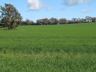 150 Cnr Boundary Road And Lesterfield Lane Coolamon Vi Wagga Wagga NSW 2650 - Image 2