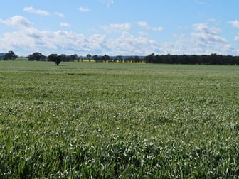150 Cnr Boundary Road And Lesterfield Lane Coolamon Vi Wagga Wagga NSW 2650 - Image 3
