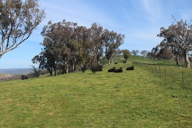 ABERCROMBIE ROAD Tuena NSW 2583 - Image 1