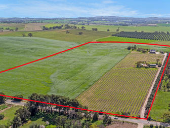 5397 BALAKLAVA ROAD Auburn SA 5451 - Image 2