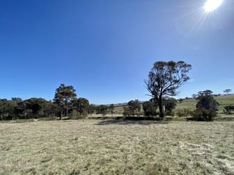 Lot 133, 1488 Mutton Falls Road O'connell NSW 2795 - Image 2