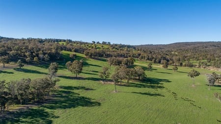 167 Lyndurst Road Thalgarrah Metz NSW 2350 - Image 1