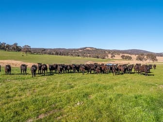 167 Lyndurst Road Thalgarrah Metz NSW 2350 - Image 3