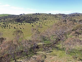 1 Barry Lane Tooborac VIC 3522 - Image 1