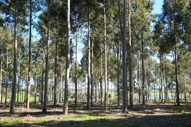 970 Birregurra Deans Marsh Road Deans Marsh VIC 3235 - Image 3