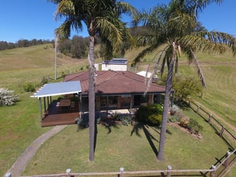 495 Belbora Creek Road Gloucester NSW 2422 - Image 2