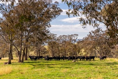 Hartley NSW 2790 - Image 1