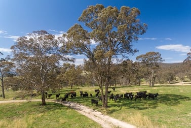 Hartley NSW 2790 - Image 3