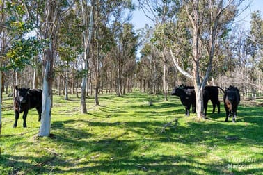 309 Musselroe Road Musselroe Bay TAS 7264 - Image 2
