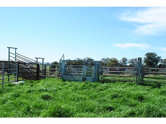 7034 Burrendong Way Wellington NSW 2820 - Image 2