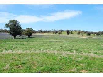 7034 Burrendong Way Wellington NSW 2820 - Image 3