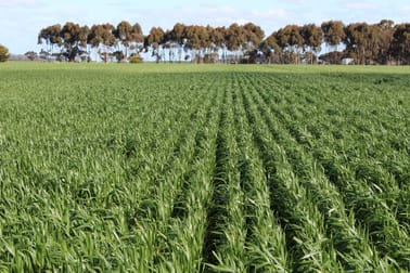 Lismore-Pittong Road Mount Bute VIC 3324 - Image 1