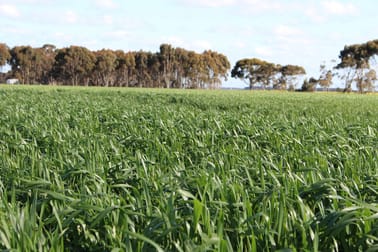 Lismore-Pittong Road Mount Bute VIC 3324 - Image 2