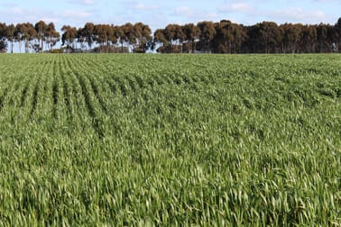 Lismore-Pittong Road Mount Bute VIC 3324 - Image 3