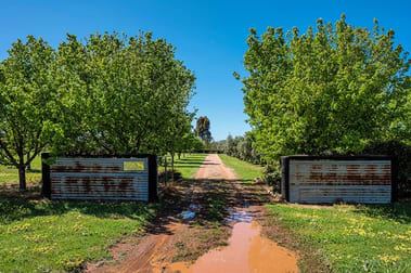 49 Zimmler Lane Gulgong NSW 2852 - Image 3