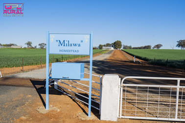Coffin Rock Lane Old Junee NSW 2652 - Image 3
