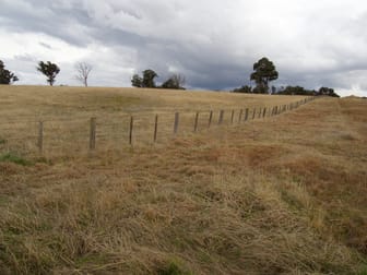 106 Thorpleigh Road Armidale NSW 2350 - Image 3