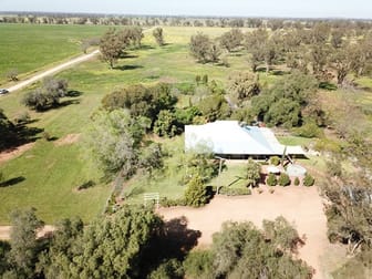 'Iona' 162 Craigie Lea Lane Narromine NSW 2821 - Image 1