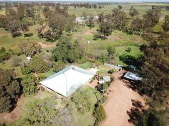 'Iona' 162 Craigie Lea Lane Narromine NSW 2821 - Image 2