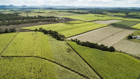 Lot 2 Mount Vince Road Victoria Plains QLD 4751 - Image 3