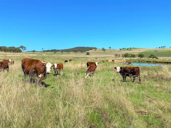 Goulburn NSW 2580 - Image 1