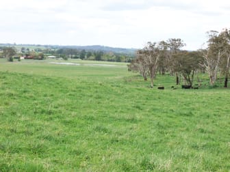 397 Forest Road Spring Hill NSW 2800 - Image 1