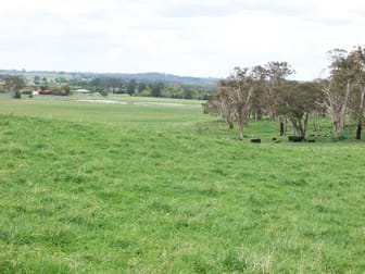 Click to view all images 397 Forest Road Spring Hill NSW 2800 - Image 1