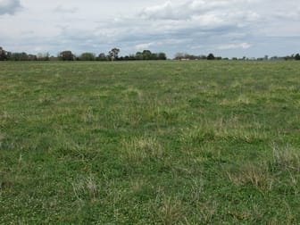 397 Forest Road Spring Hill NSW 2800 - Image 3