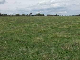 Click to view all images 397 Forest Road Spring Hill NSW 2800 - Image 3