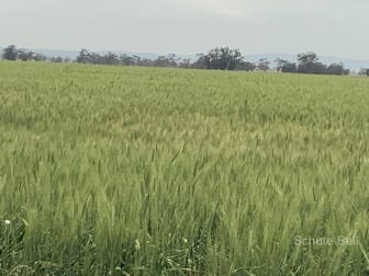 . Roseholm Peak Hill NSW 2869 - Image 3