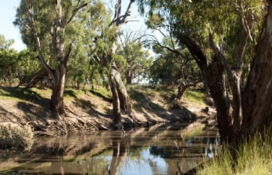 "Yaloke" 8257.9ac First time offered in 100 years Deniliquin NSW 2710 - Image 3