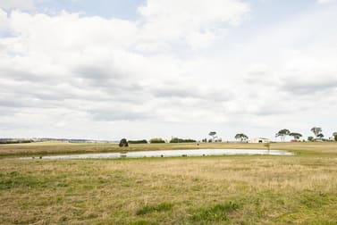 903 Castledoyle Road Metz NSW 2350 - Image 2