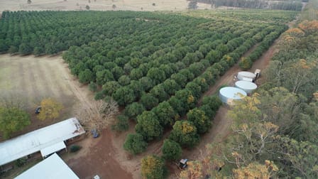 58 Ogilvie Road Cherry Creek QLD 4314 - Image 1