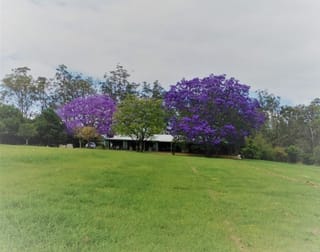 58 Ogilvie Road Cherry Creek QLD 4314 - Image 2