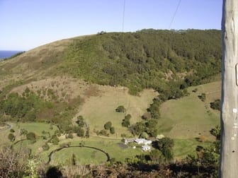 95 Wild Dog Road Apollo Bay VIC 3233 - Image 3