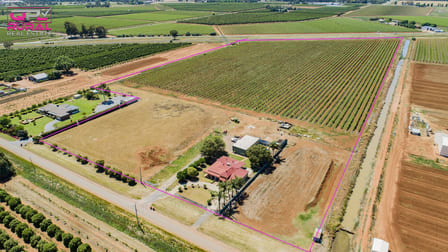 775 Dempsey Road Leeton NSW 2705 - Image 1
