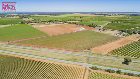 775 Dempsey Road Leeton NSW 2705 - Image 3