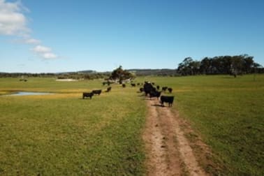 Lot 11 Freeborough Road Youngs Siding WA 6330 - Image 2