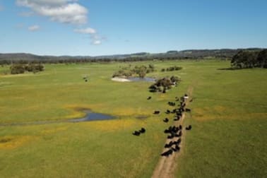 Lot 11 Freeborough Road Youngs Siding WA 6330 - Image 3