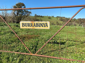519 Chain of Ponds Rd Black Springs NSW 2787 - Image 1