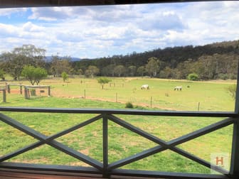 200 Collins Road Numeralla NSW 2630 - Image 3