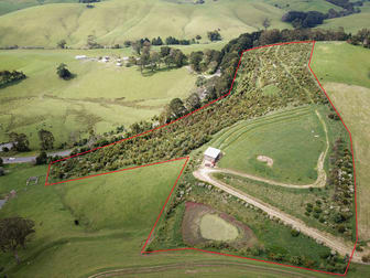 Falls Road Stony Creek VIC 3957 - Image 1