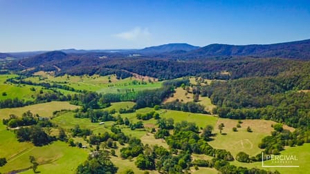 Lot 124 Neilson Lane Lorne NSW 2439 - Image 3