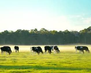 Rural & Farming  business for sale in Shepparton - Image 1