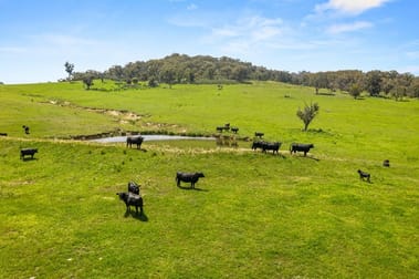 511 Cooksvale Road Crookwell NSW 2583 - Image 2